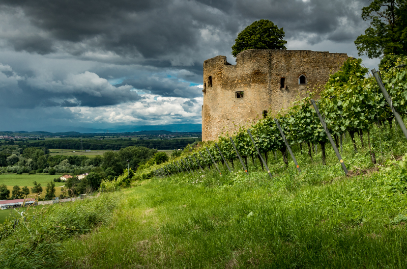 Foto: Burg Lichtgeneck von Hans-Jürgen van Akkeren 2016